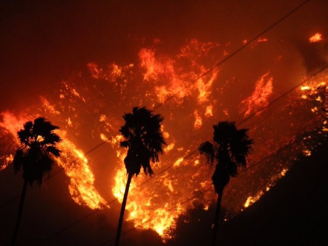 30 horses killed as wildfires consume 83000 acres near LA