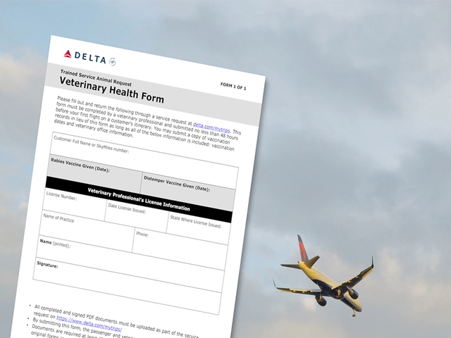 Delta changing requirements for service, support animals on flights Delta changing requirements for service, support animals on flights