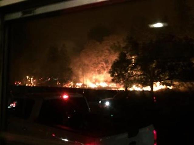 'Bus driver from heaven' rescued young children from California wildfire